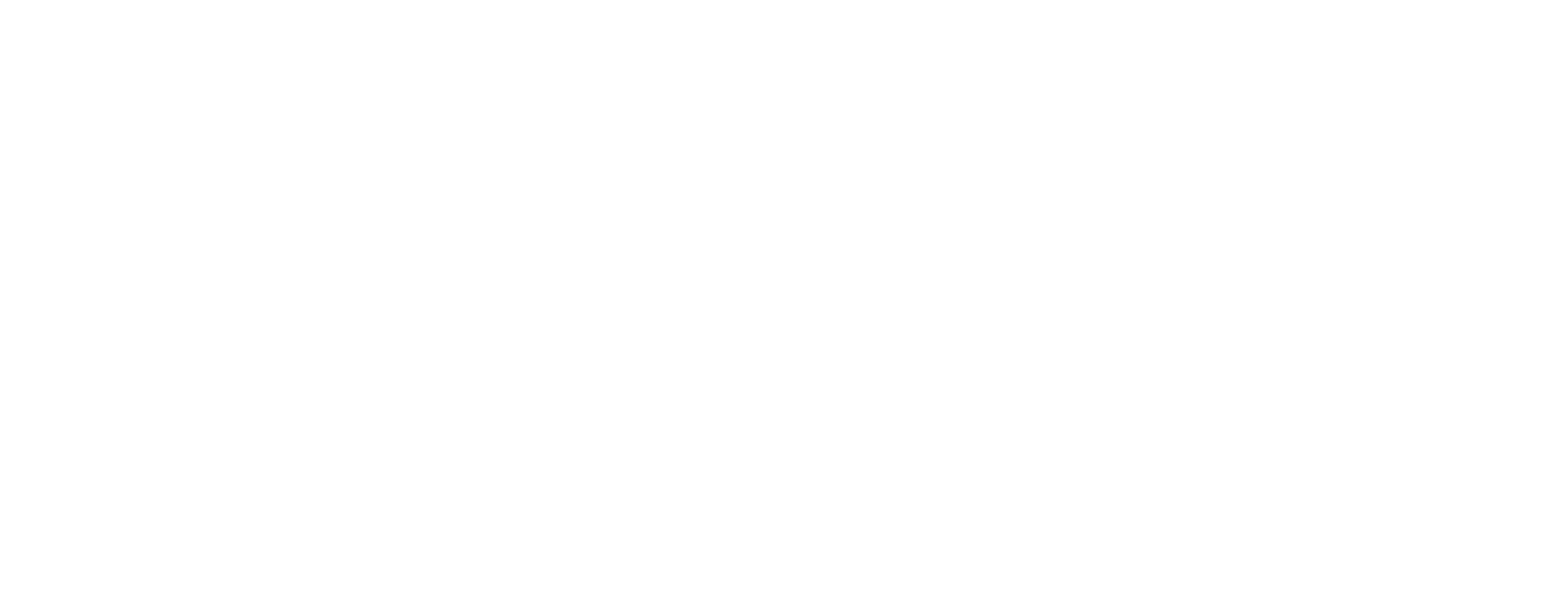 BMW-Group-white