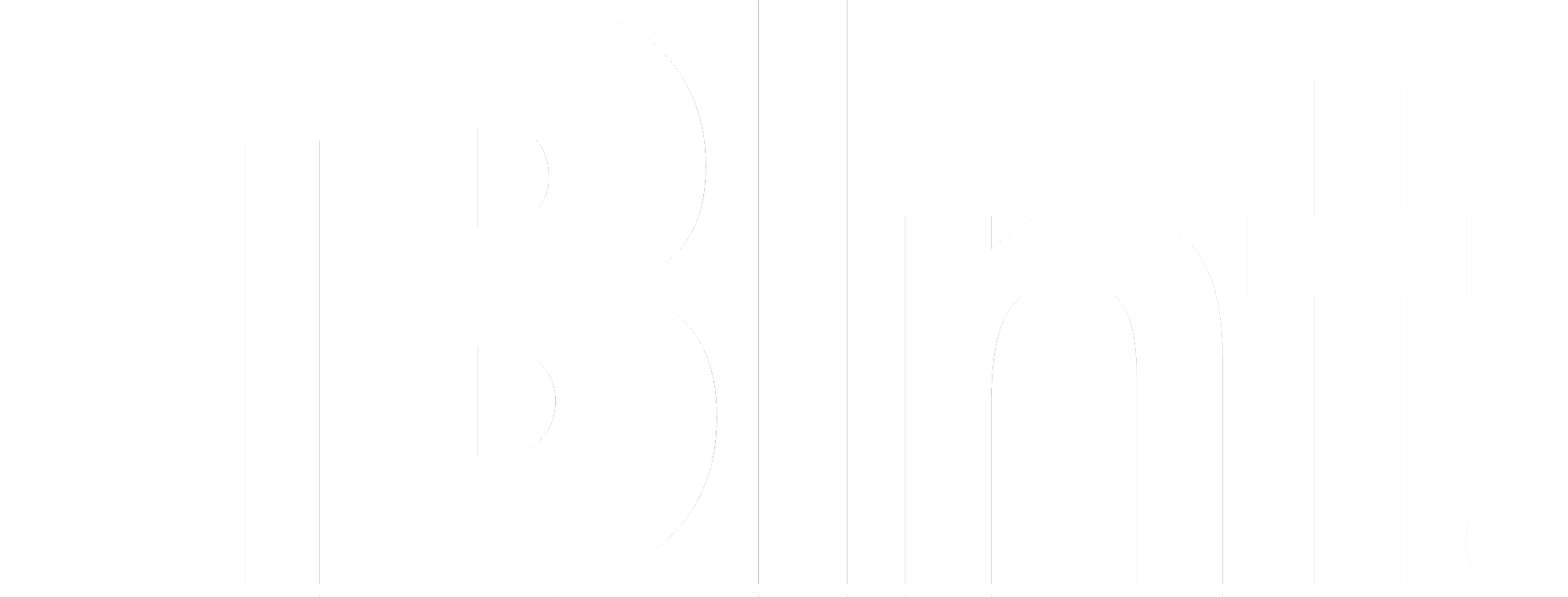 TBInt-Logo-White